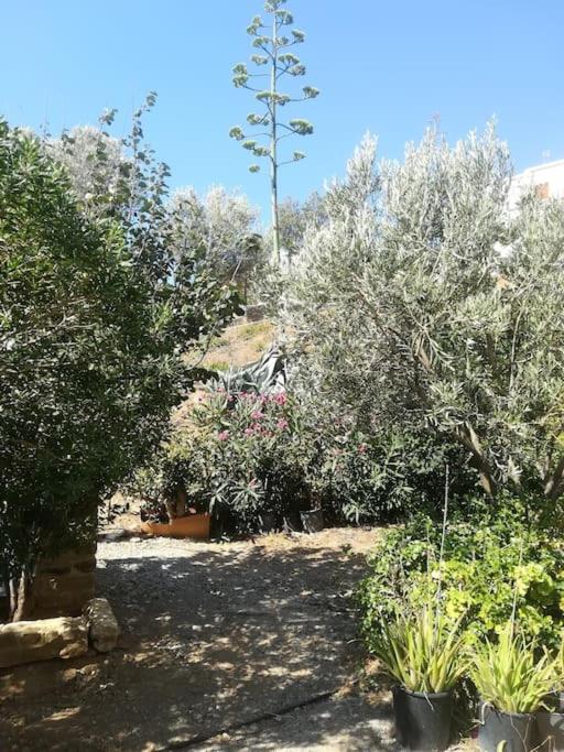 Villa Athina