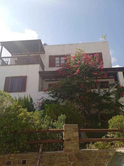 Villa Athina