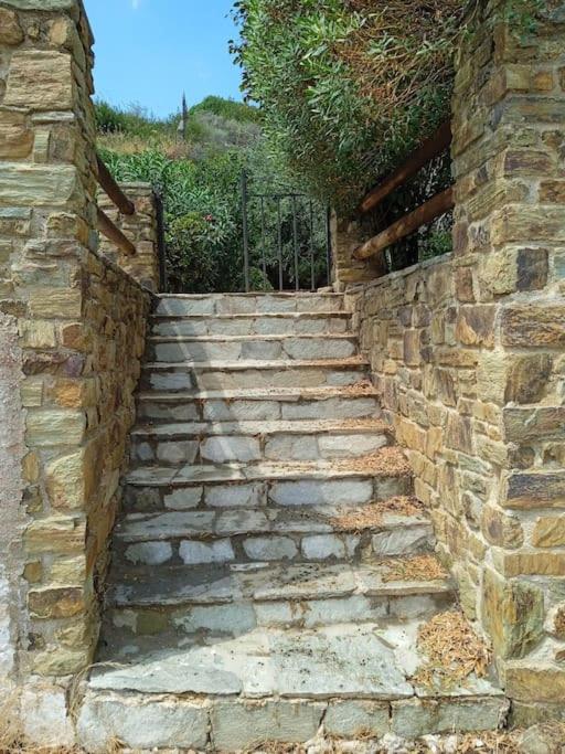 Villa Athina