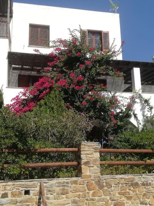 Villa Athina