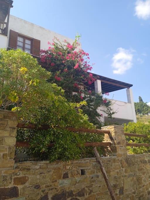 Villa Athina