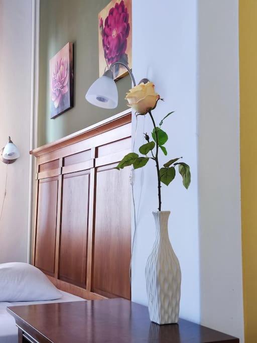 Bascarsija apartment B-Home Old Town Sarajevo