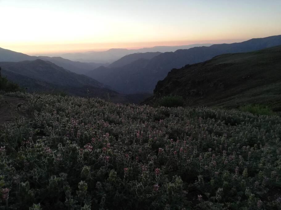 La Yareta de 7K Lodge