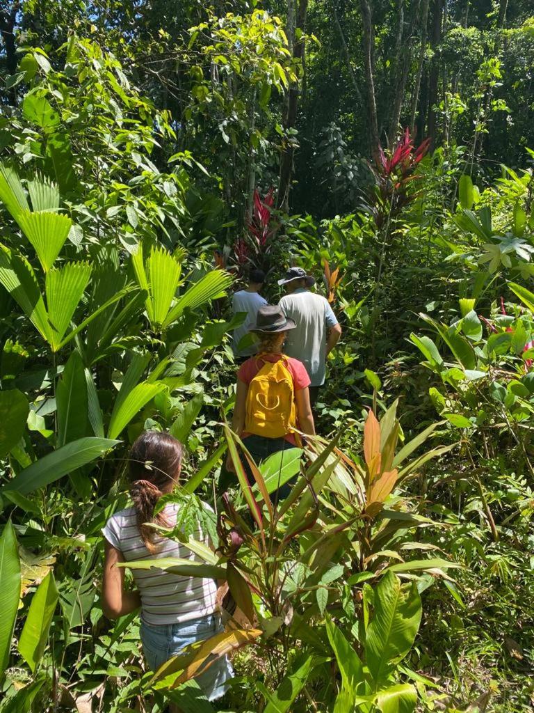 Terra NaturaMa - off grid living in the jungle