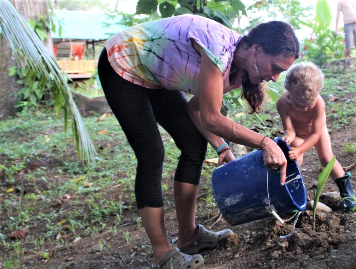 Terra NaturaMa - off grid living in the jungle