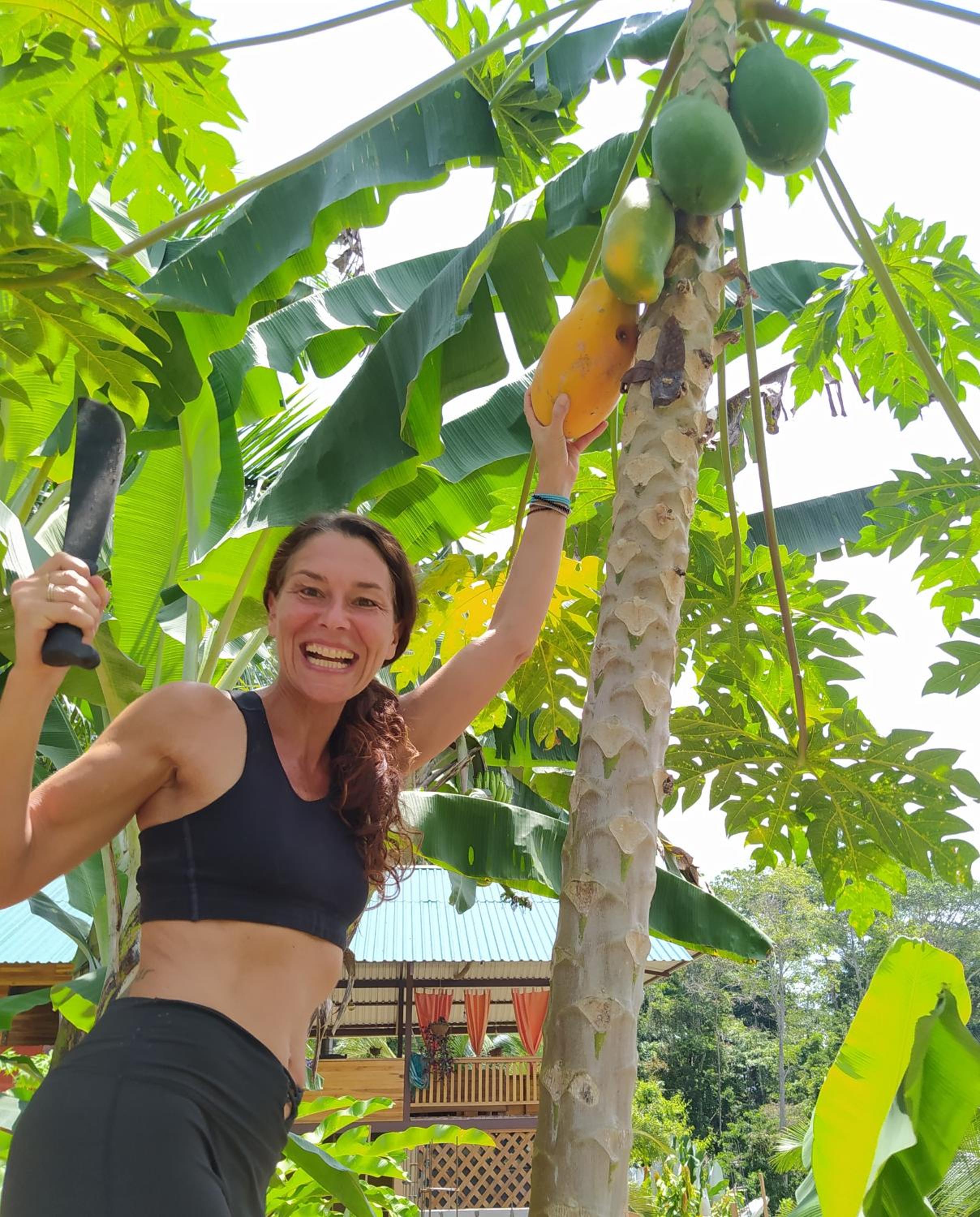 Terra NaturaMa - off grid living in the jungle