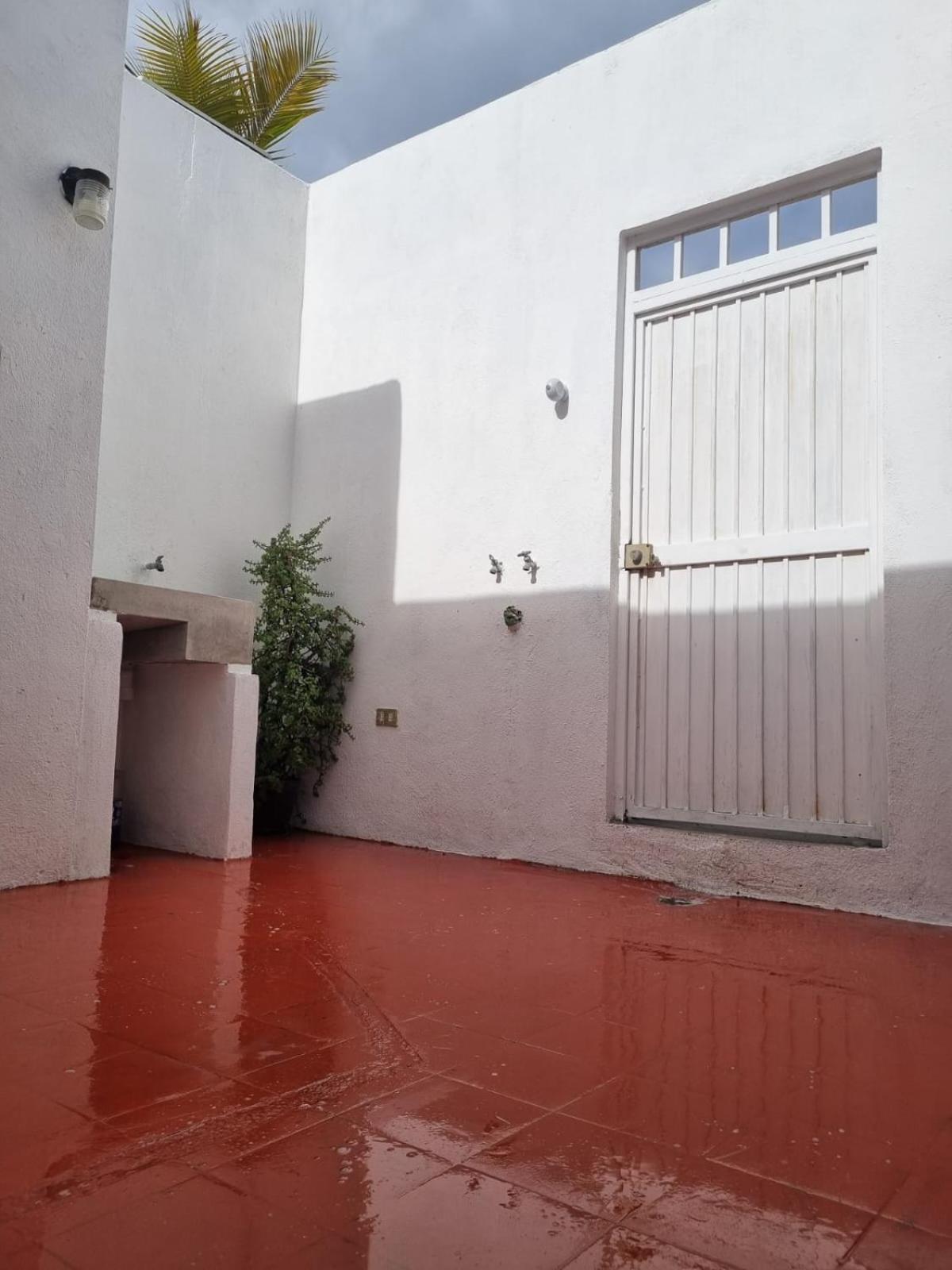 Hotel Departamento Colibrí - Image 1