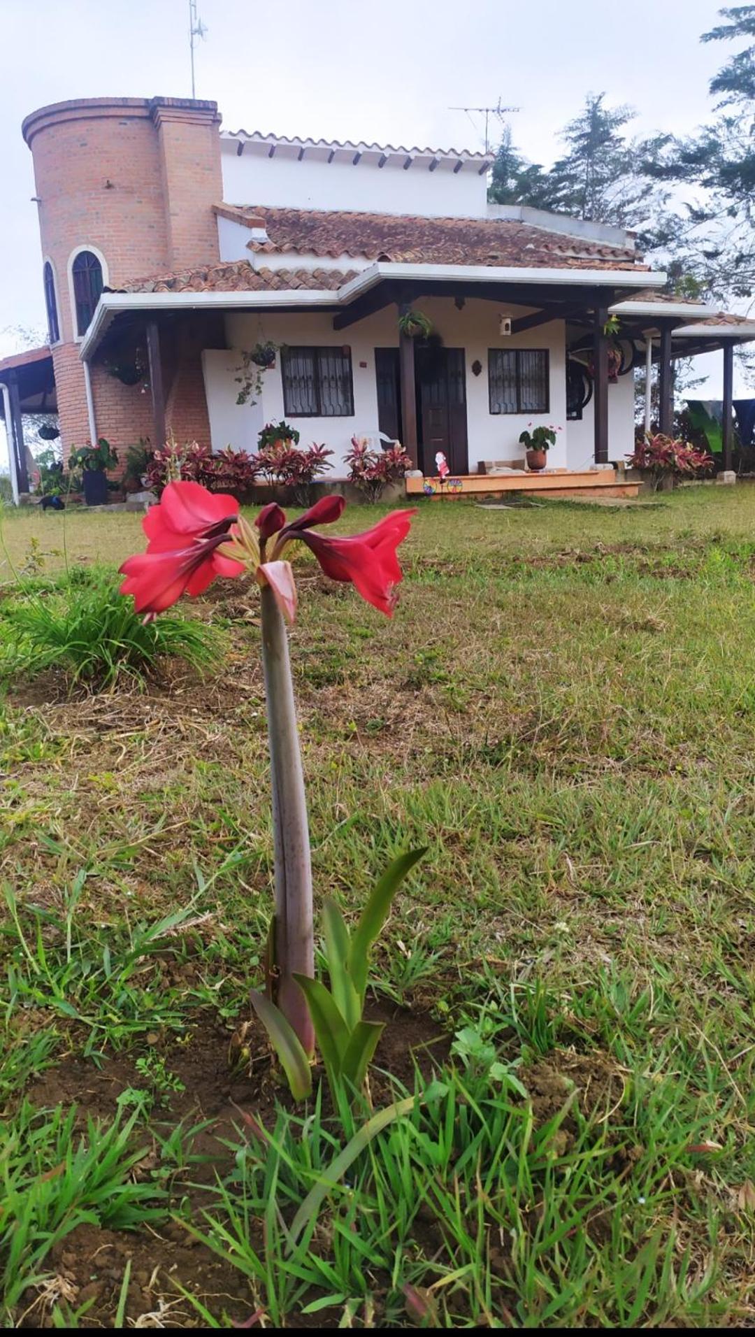 Casa de Campo EL LAGUITO - Mesa de los Santos