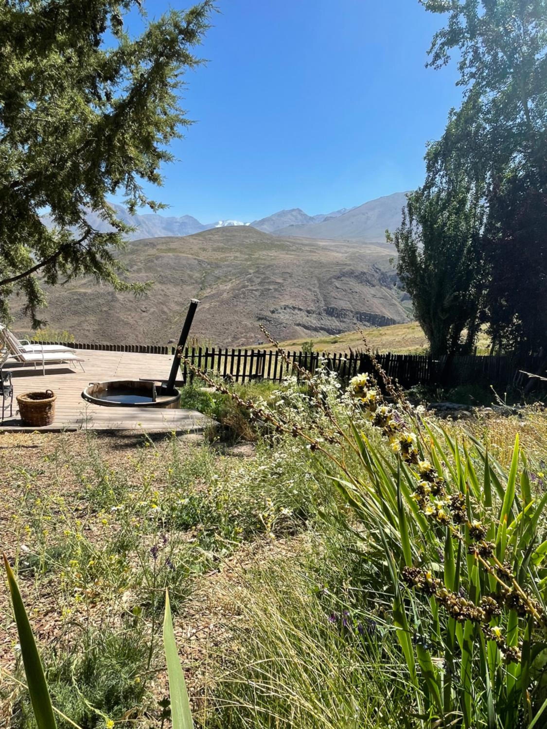 La Leona de 7K Lodge