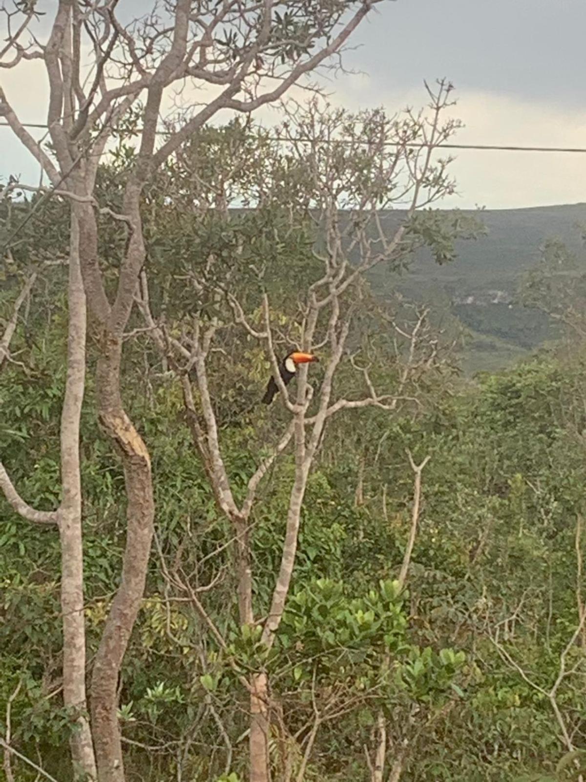Chales Estrela Veadeiros Com Ofurô