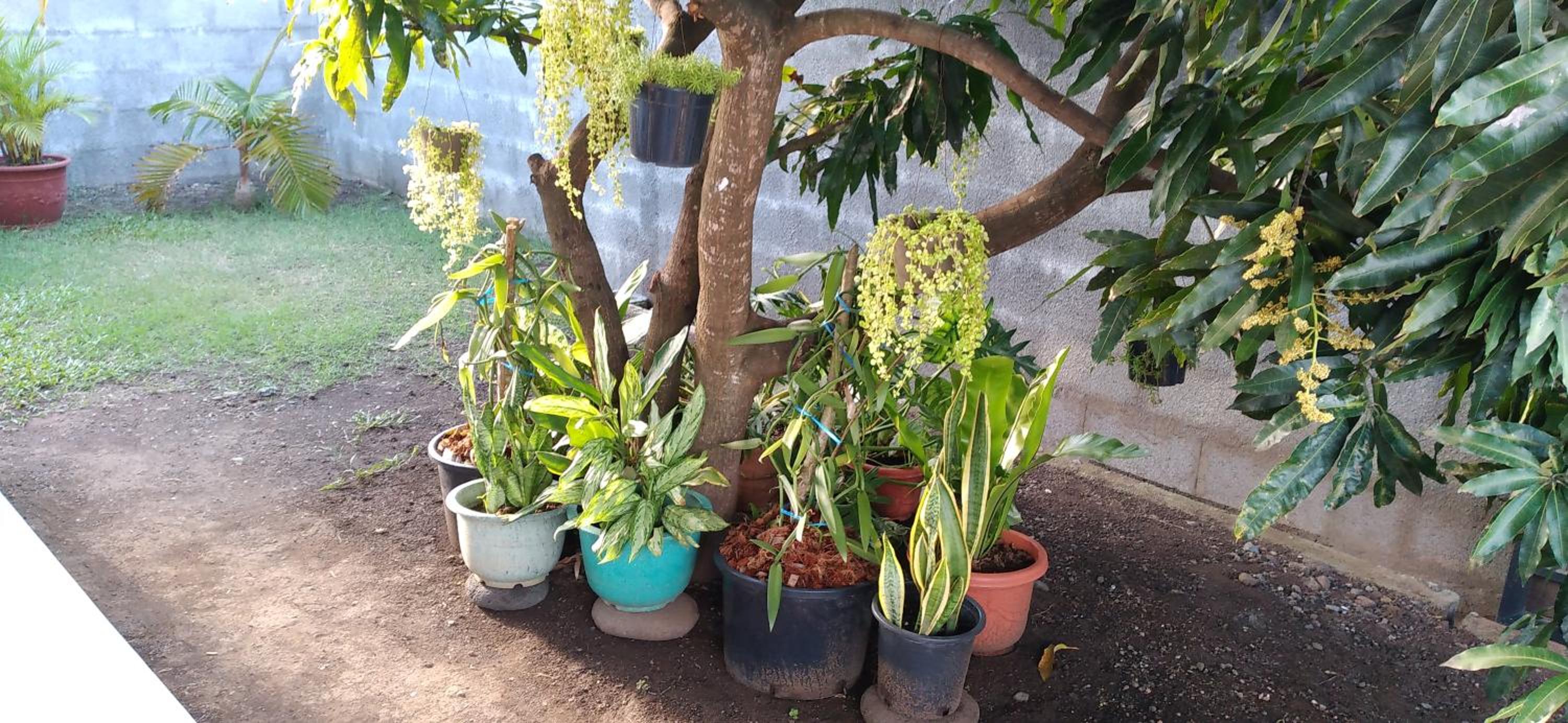 Fare Onavai view 3