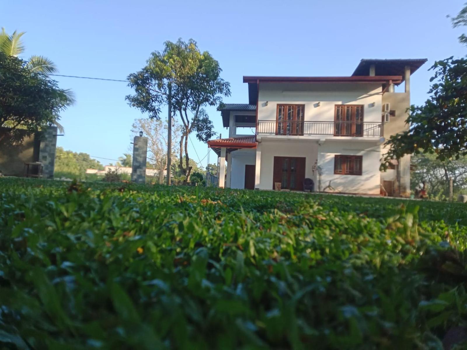 Photo 41