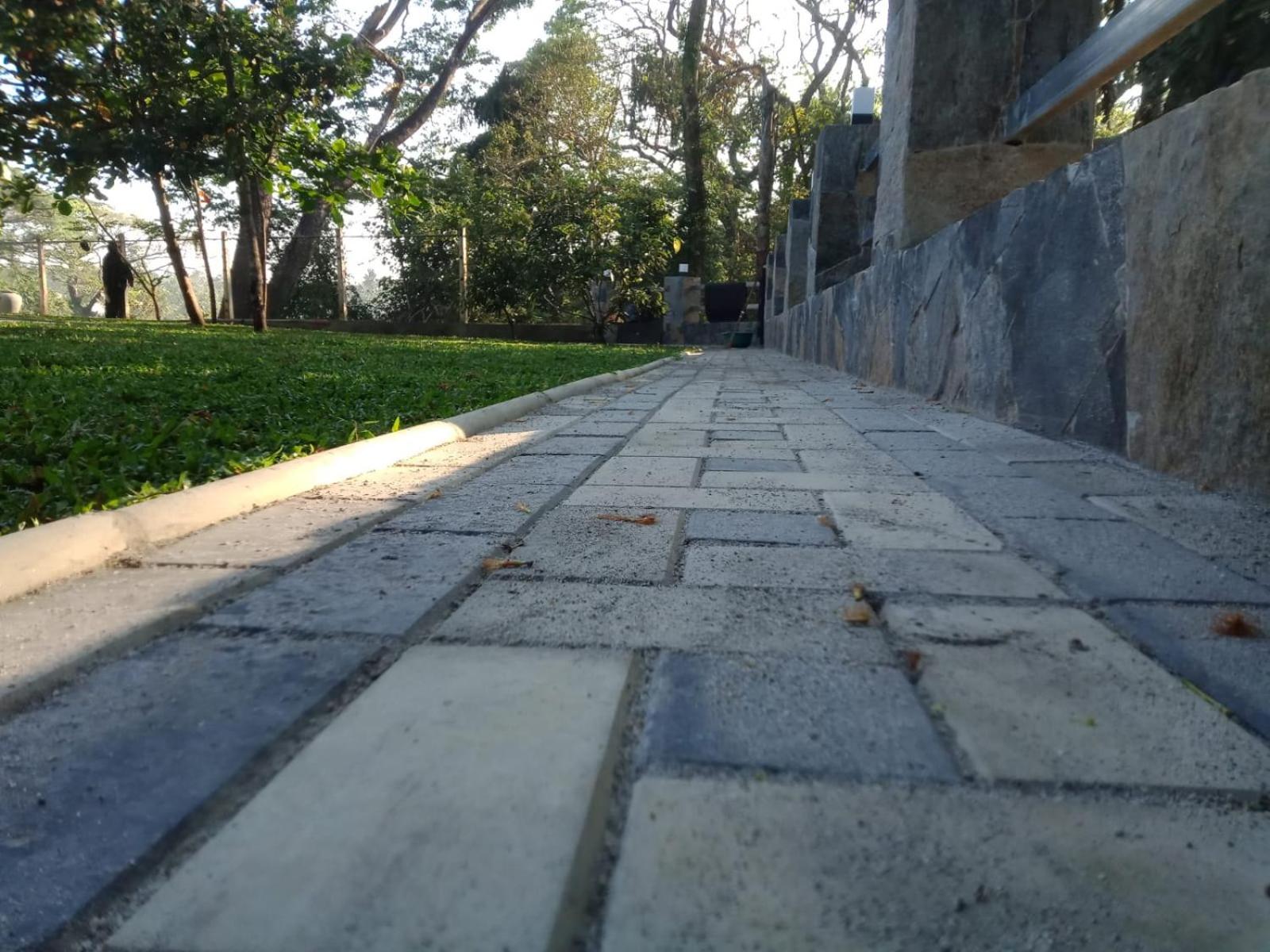 Photo 48