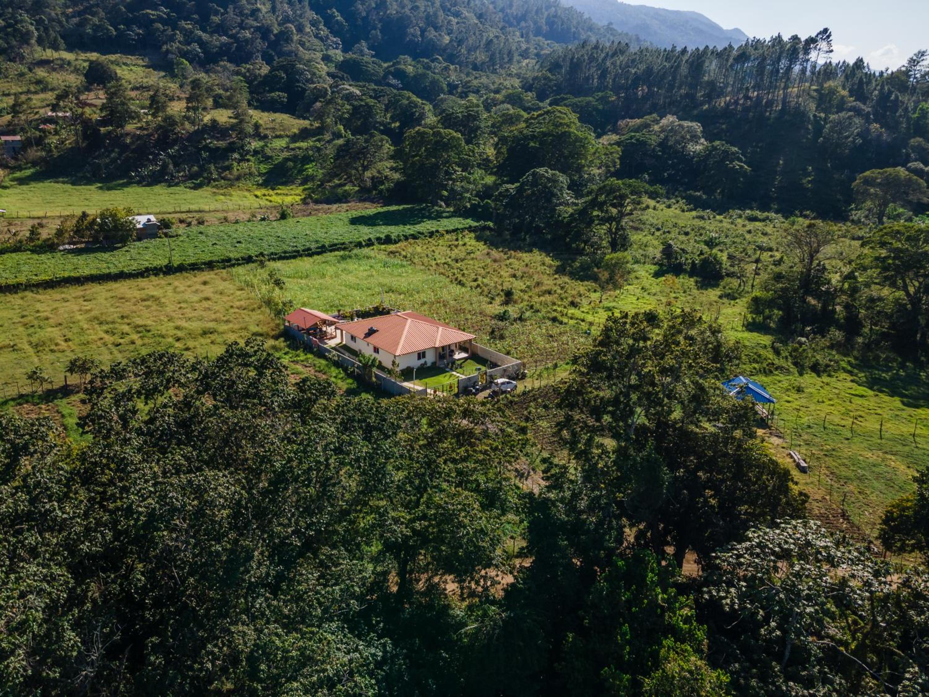 Sunflower village villa girasoles