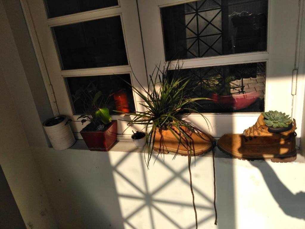 Photo 32