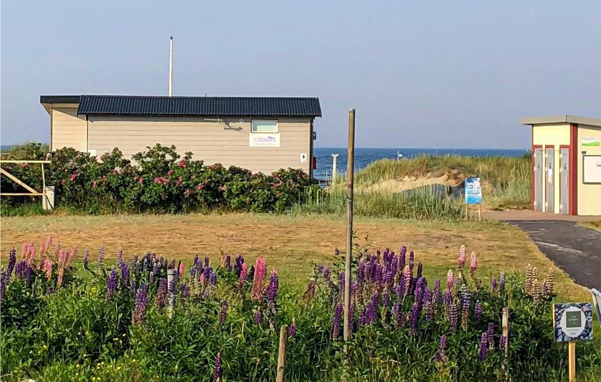 1 Bedroom Beautiful Home In Falkenberg