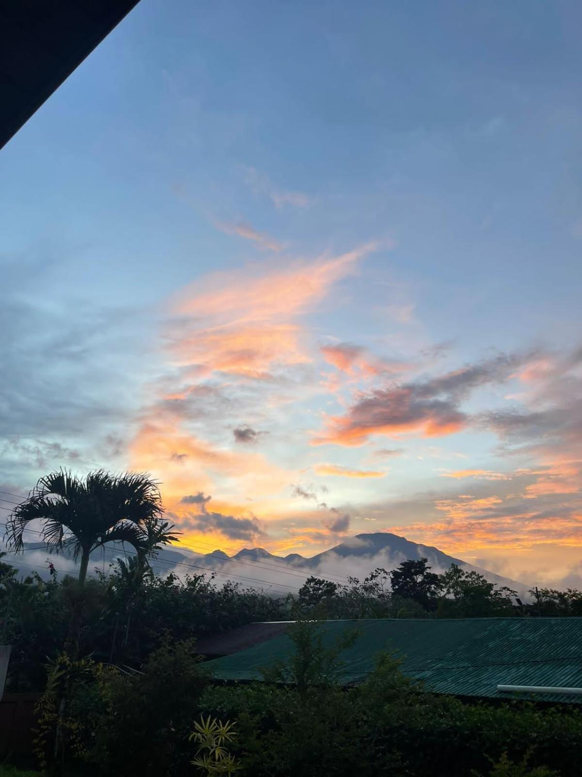 Verde Amanecer