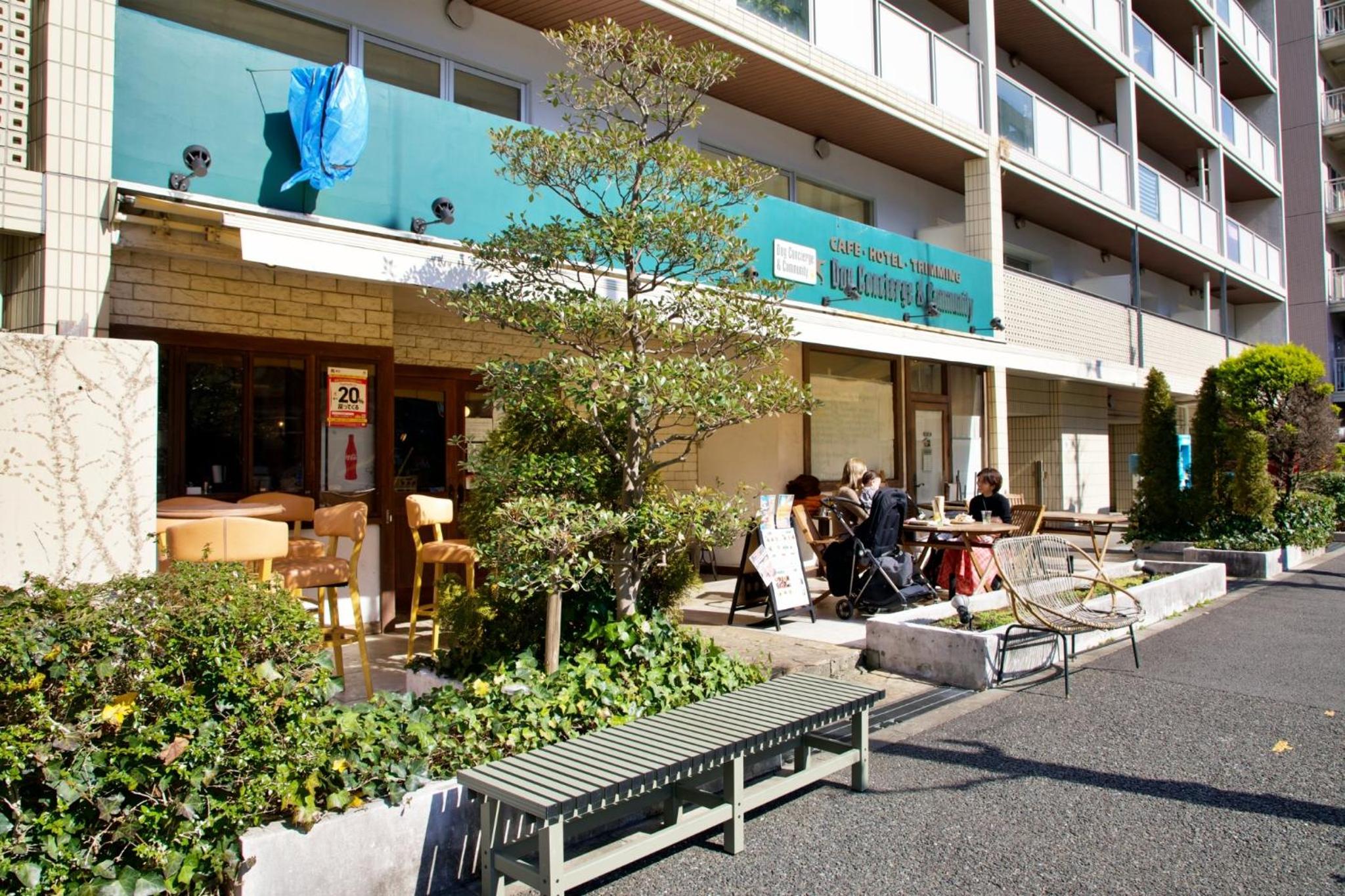 Regalo shibaura 801