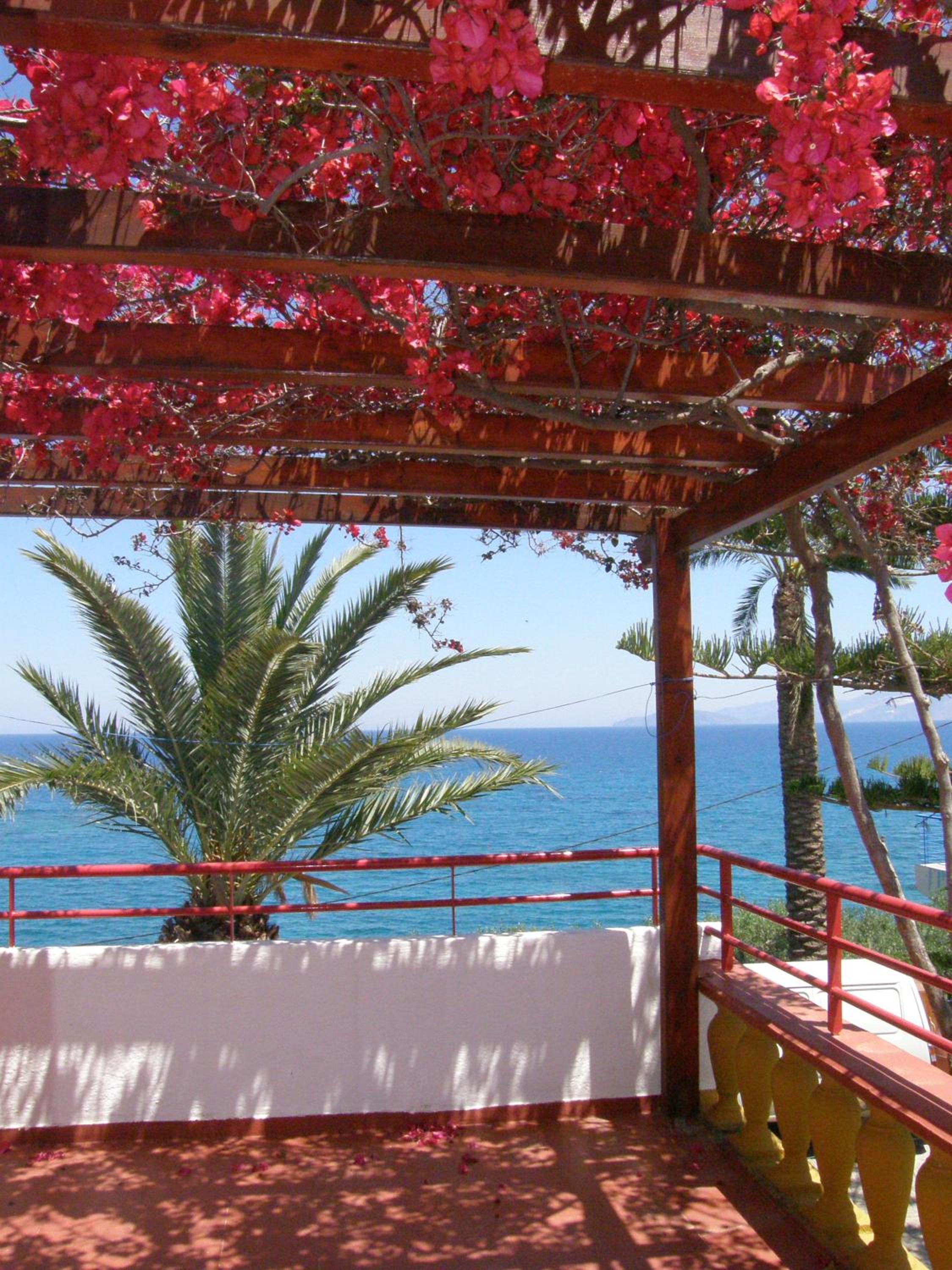 Poppy Villas, photo 19
