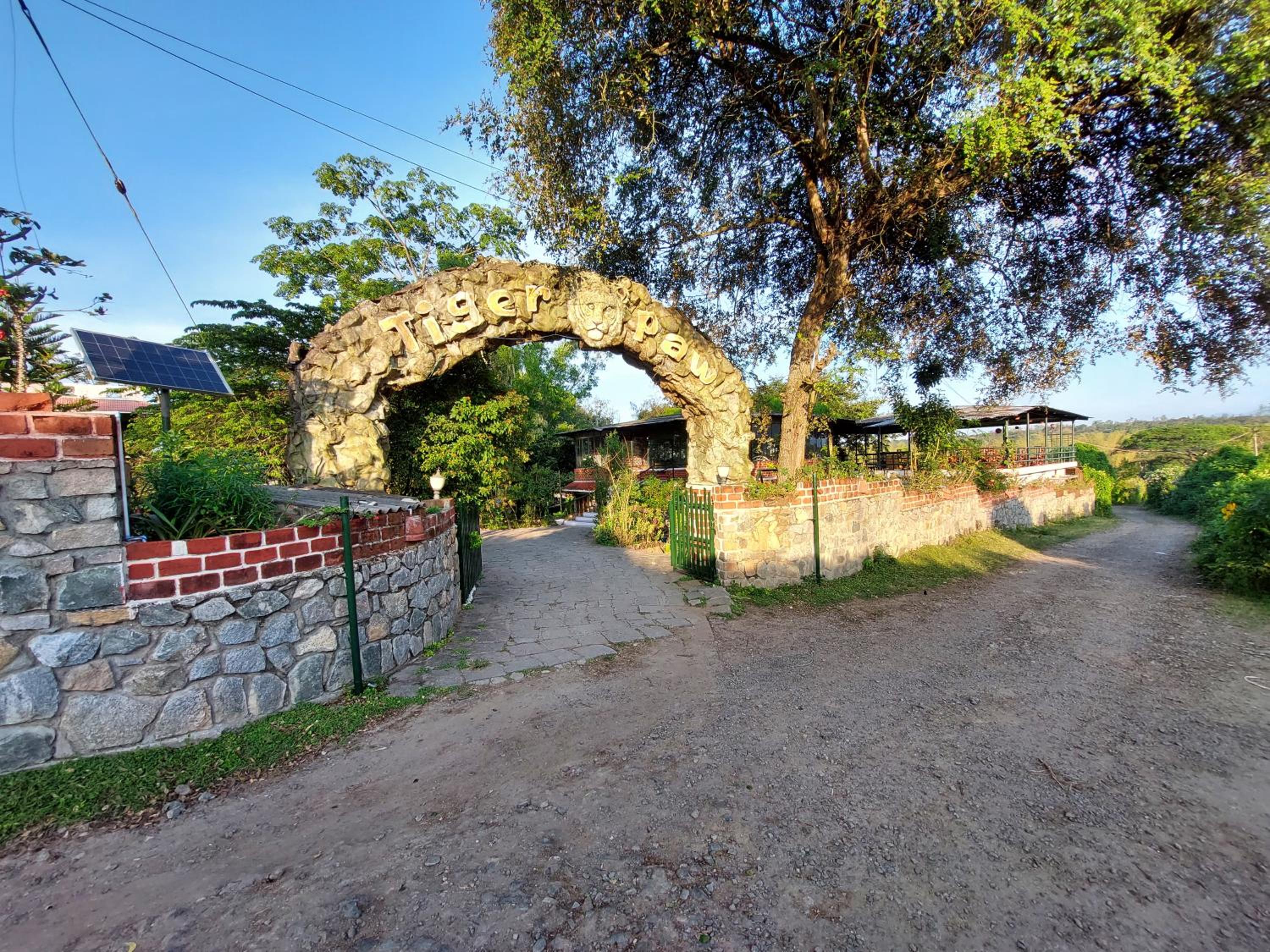 Photo 14