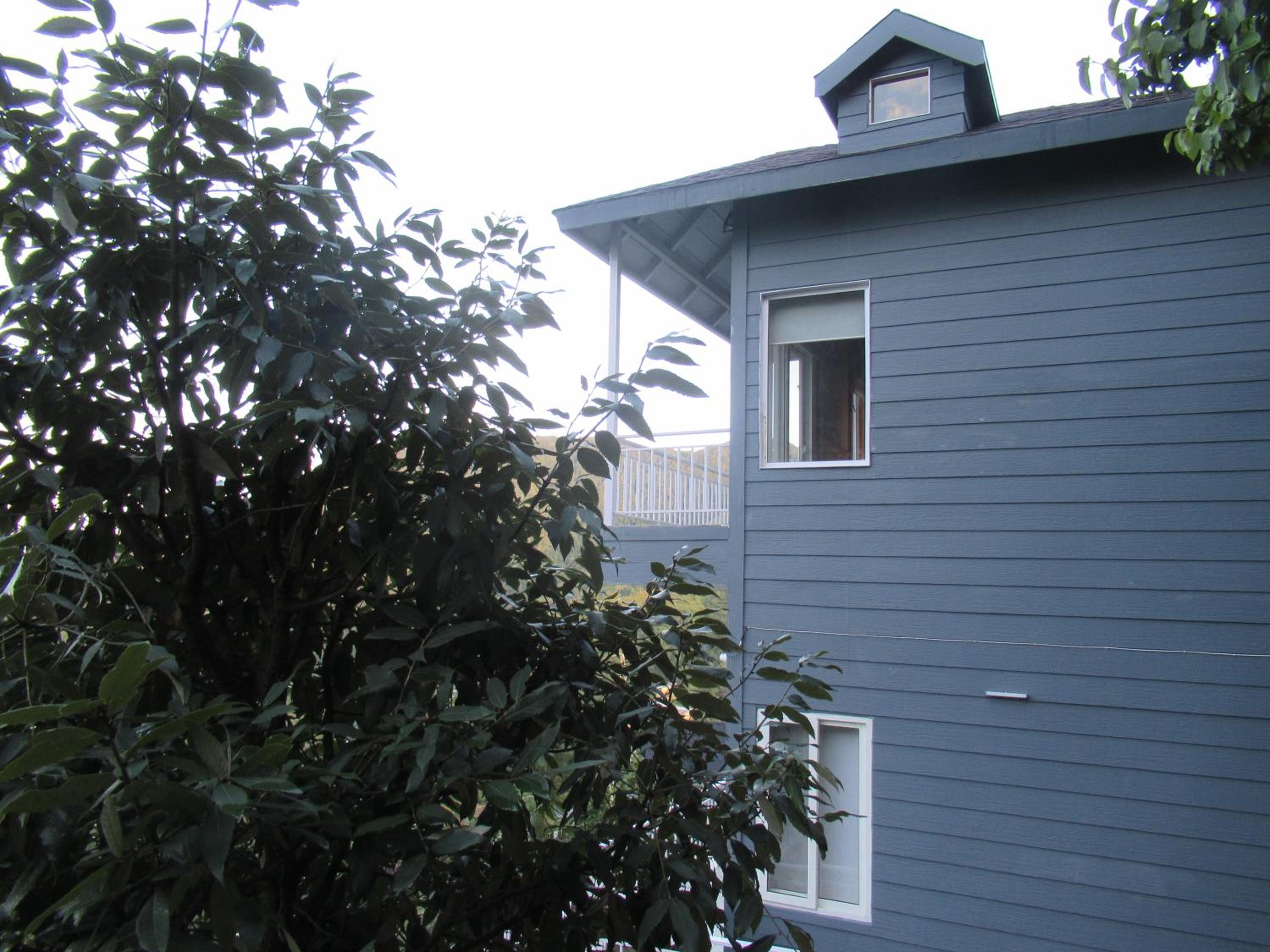 Photo 28