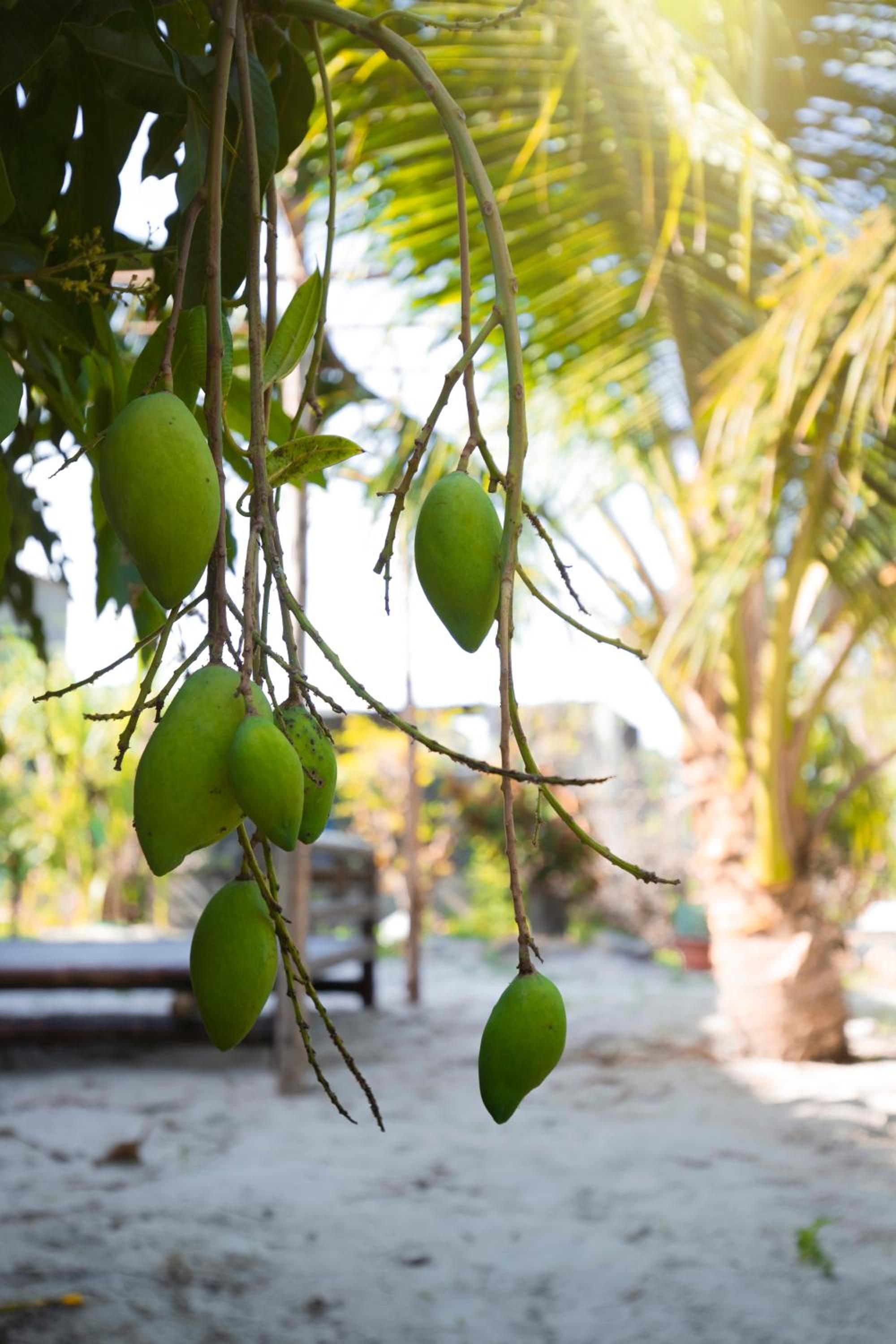 Ngôi nhà nhỏ Lagi Homestay