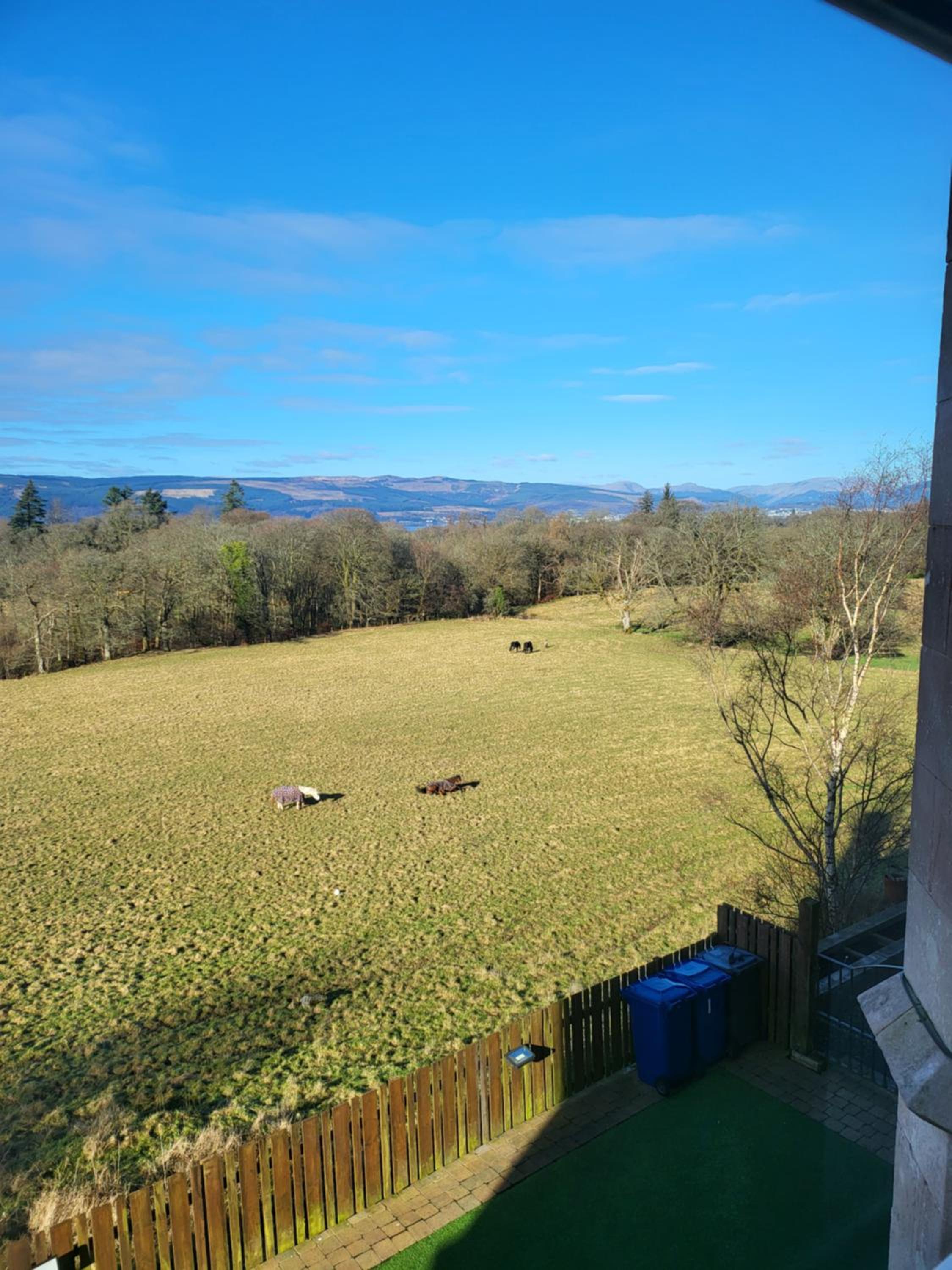 Langhouse Castle Bed and Breakfast view 5