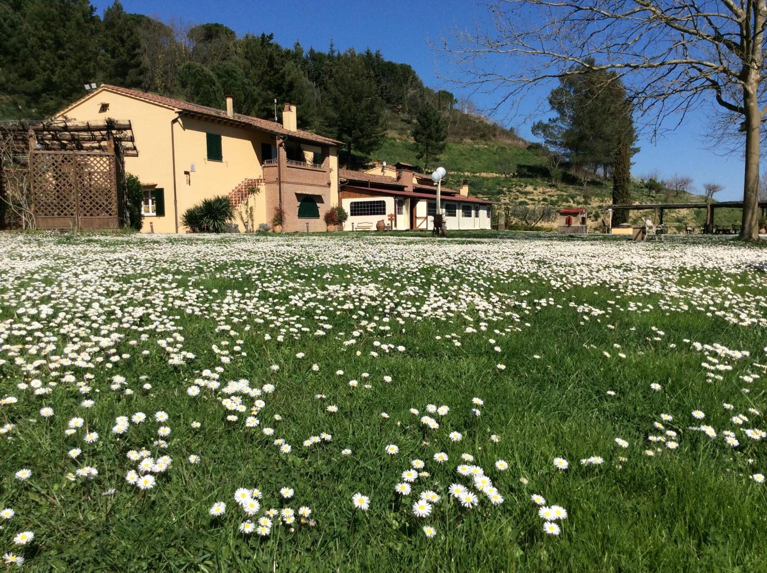 Agriturismo Podere Bucine Basso
