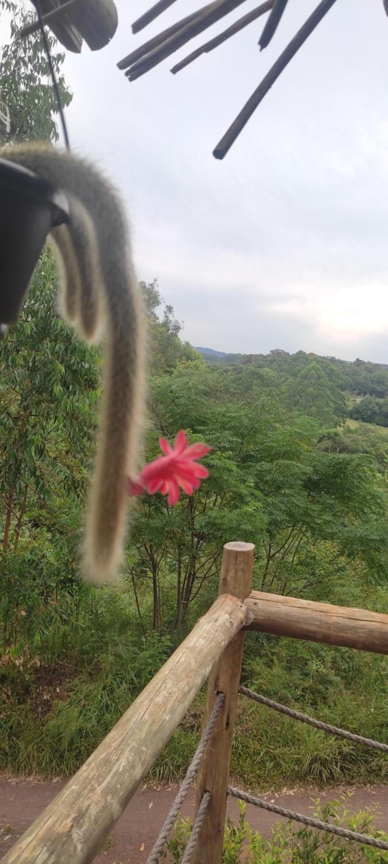 Cabana rustica logcabin com banheira aquecida view 4