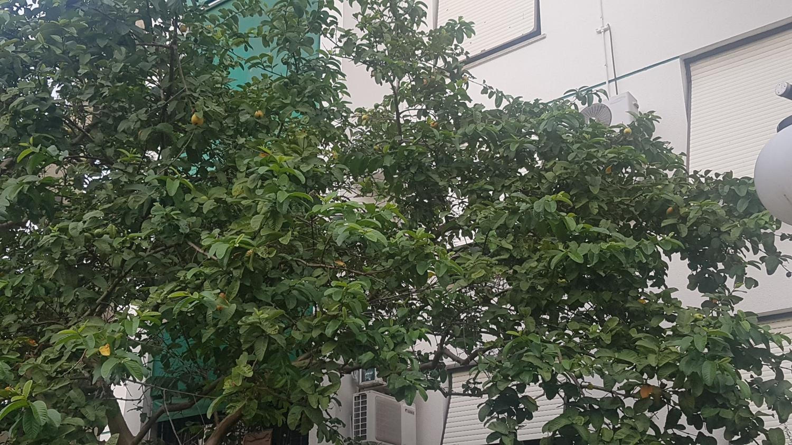 Apartamento Aconchegante e Confortável com ou sem Ar Condicionado