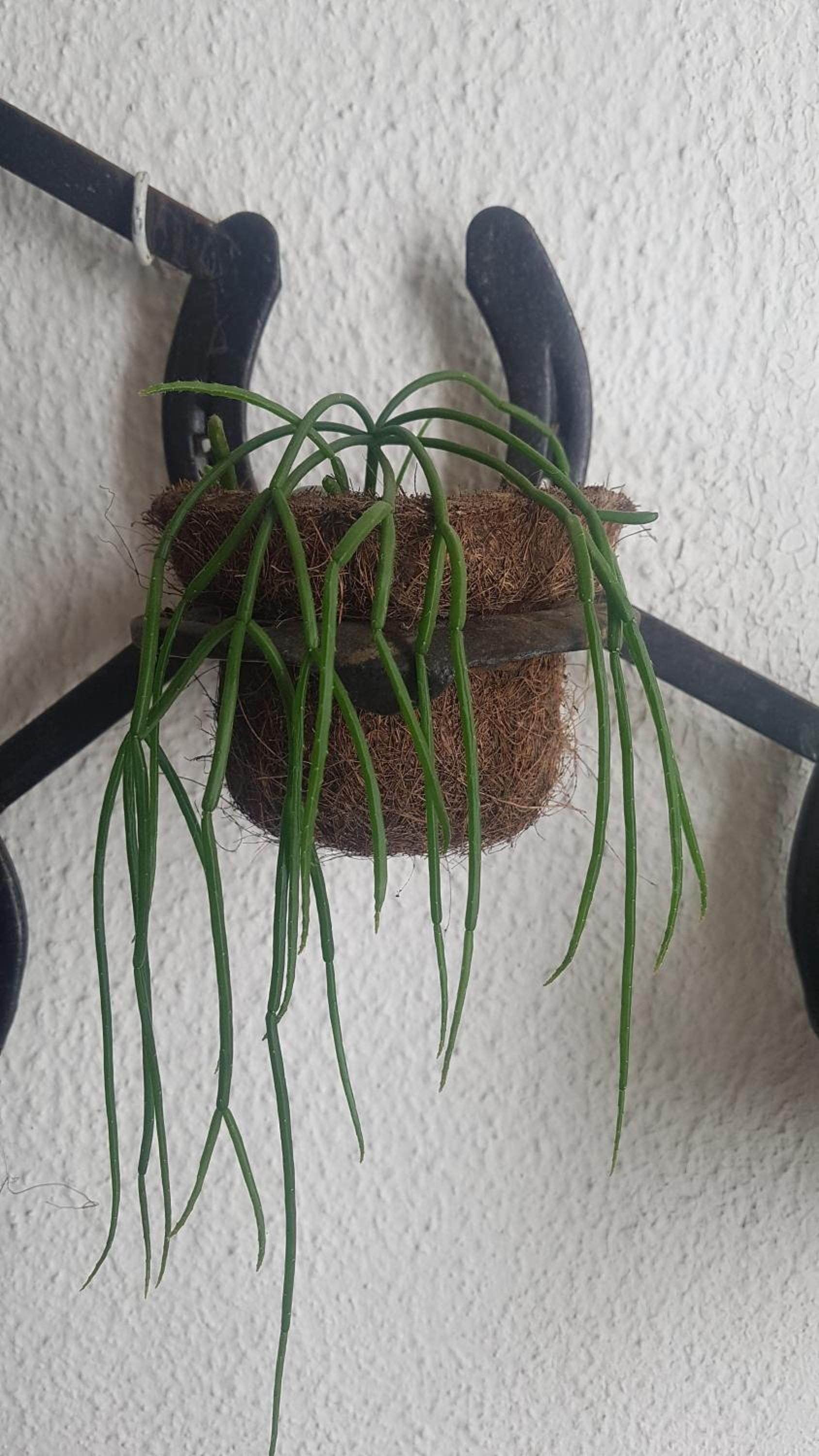 Apartamento Aconchegante e Confortável com ou sem Ar Condicionado