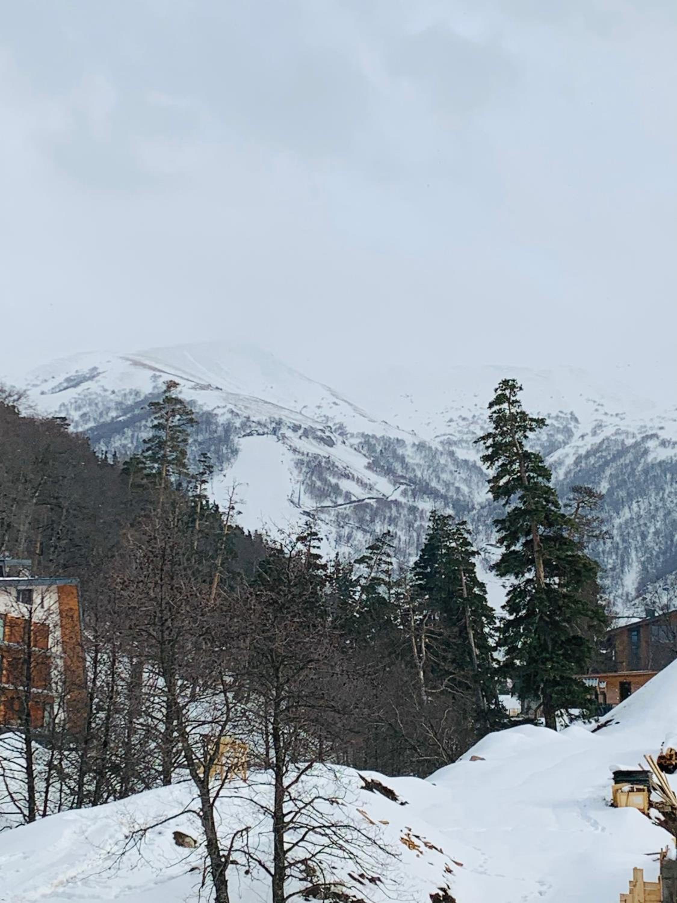 Comfortable Apartment near Didveli