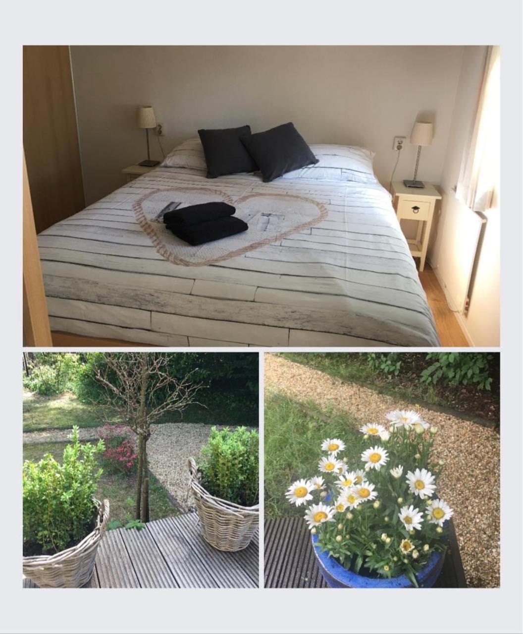 Sunnychalet