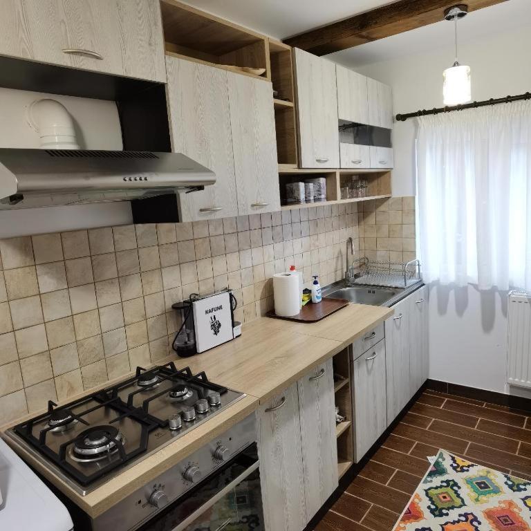 Rustic House Busteni