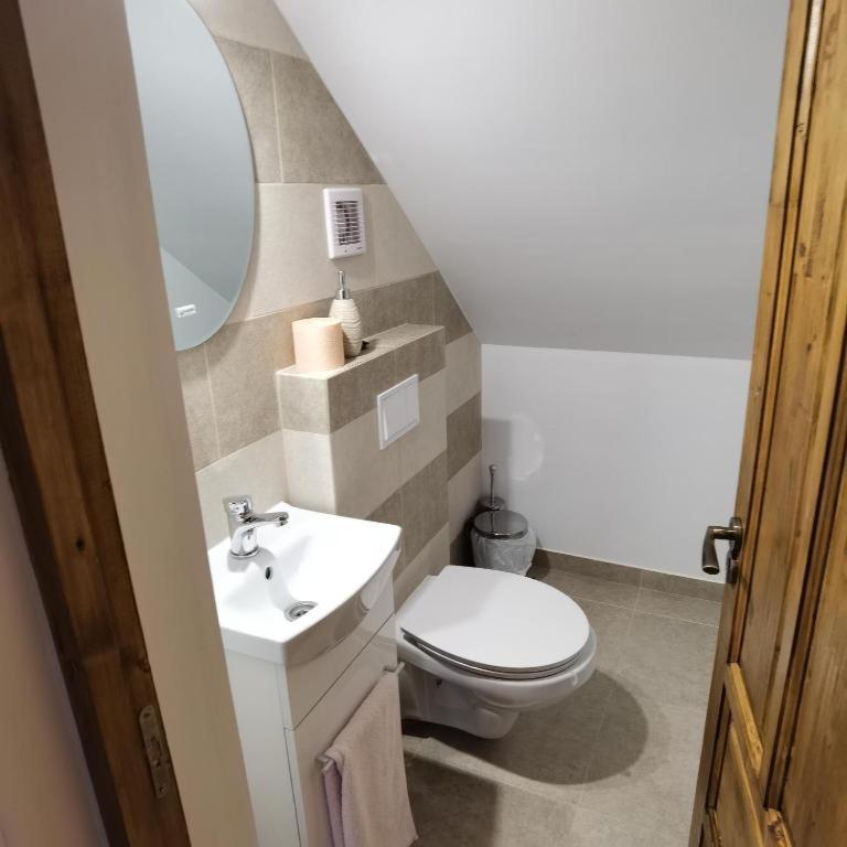 Rustic House Busteni
