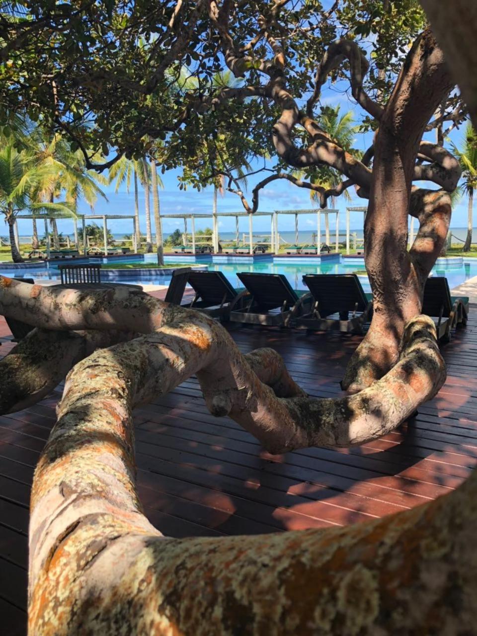 Casa Jasmim Villa Oberoi pé na areia alto luxo