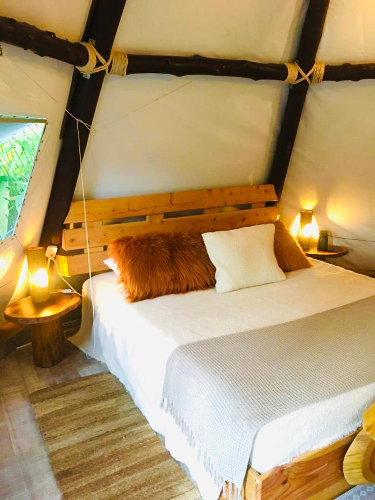 Tribu EcoHostal