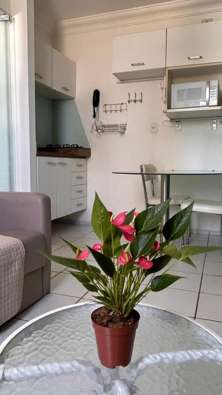 Lindo Apartamento com piscina à 100m do MAR