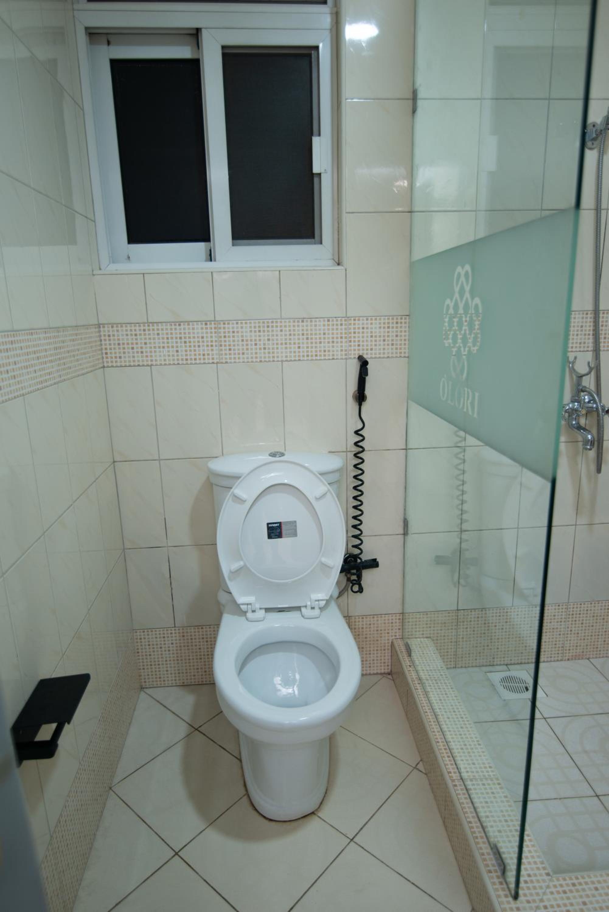 Olori Rentals view 2