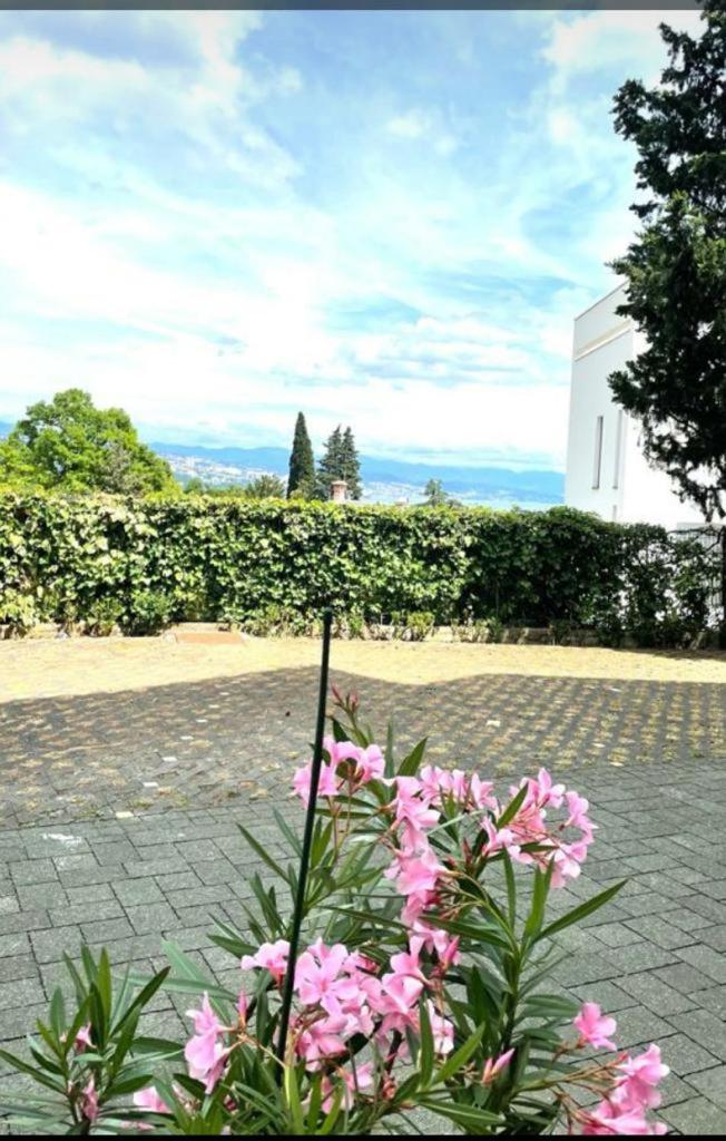 Apartman Blue view 4