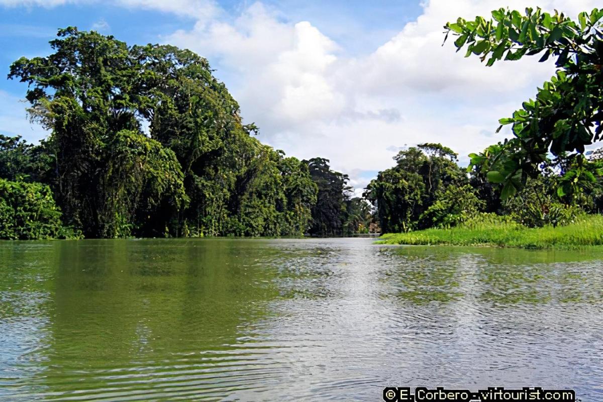 Hospedaje Casa THIREMA Tortuguero