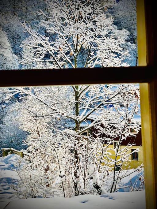 Luxury & Cosy 3.5 rooms apartment in almost 300 years old Chalet