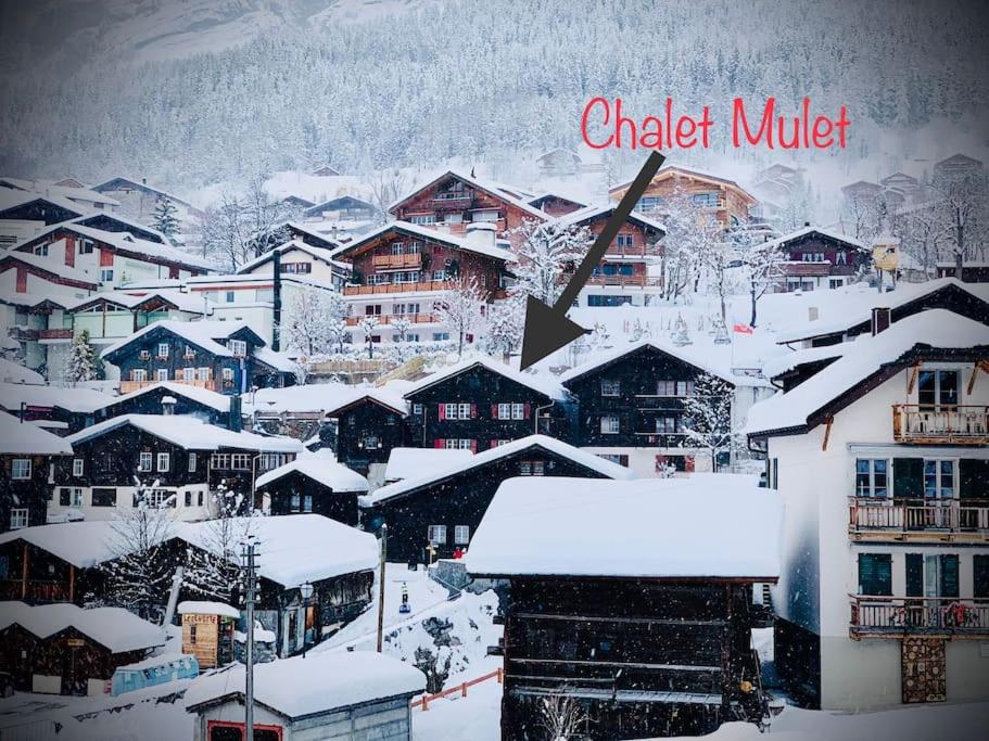 Luxury & Cosy 3.5 rooms apartment in almost 300 years old Chalet