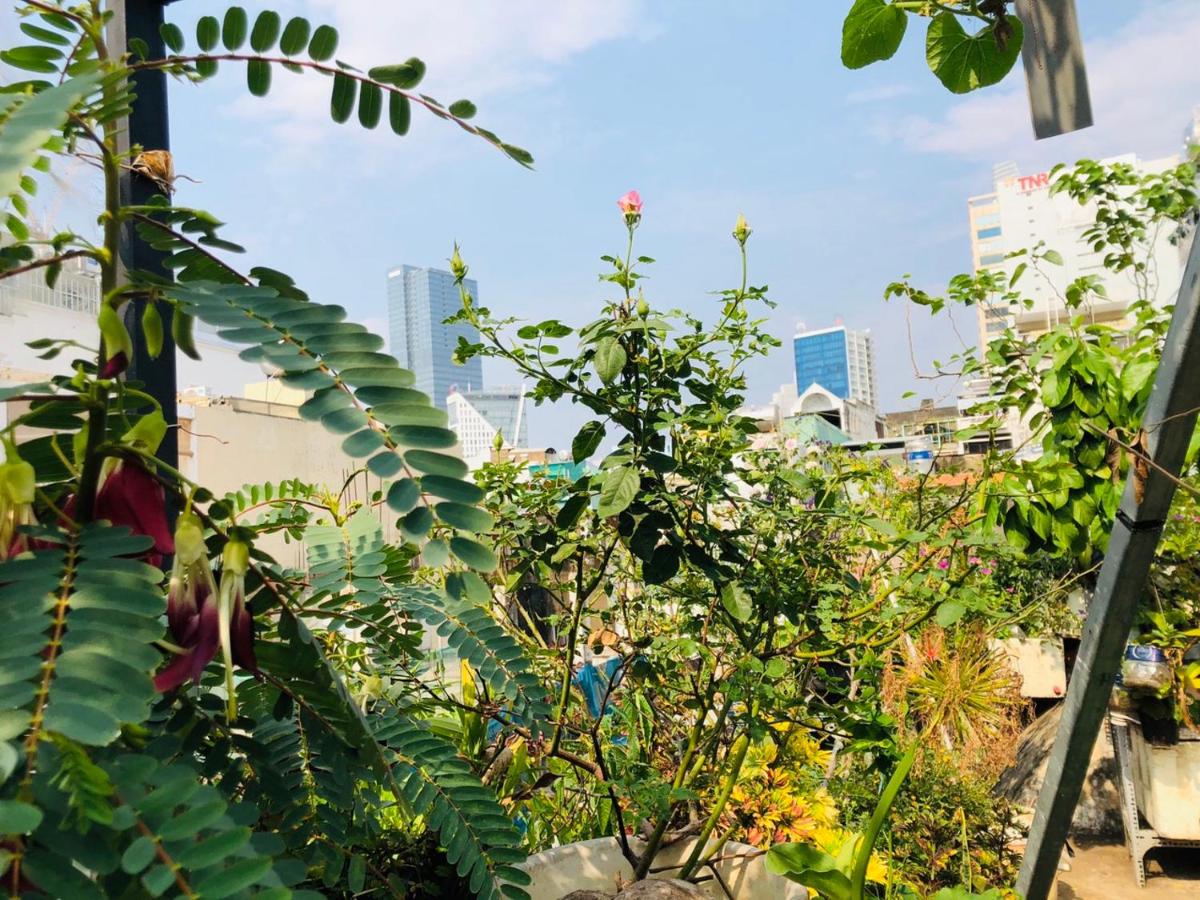 garden