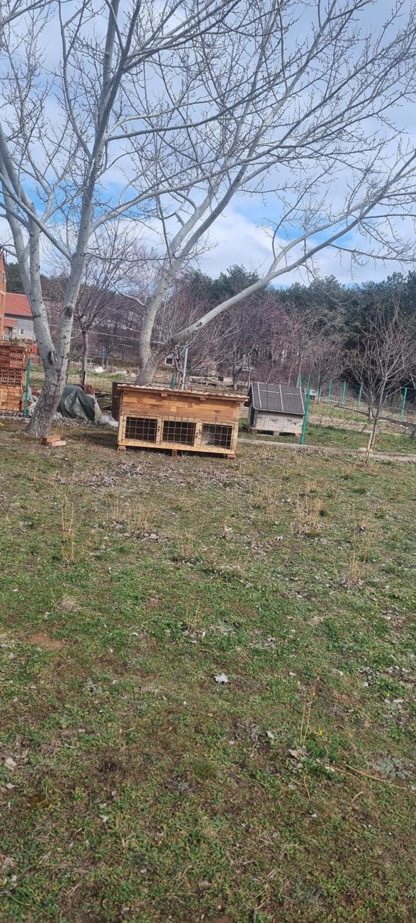 Kuca za odmor Jozic