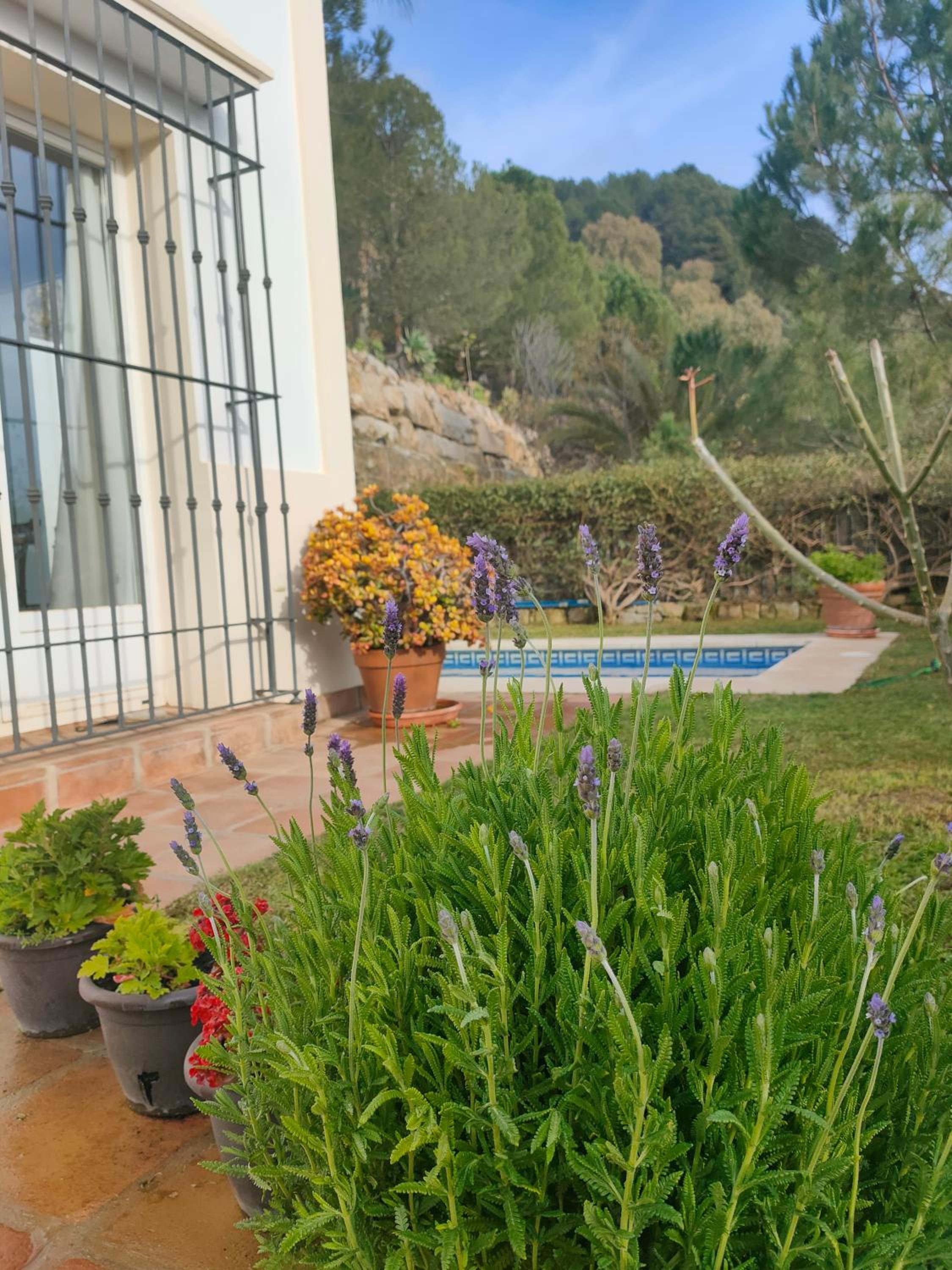 Villa Jazmín