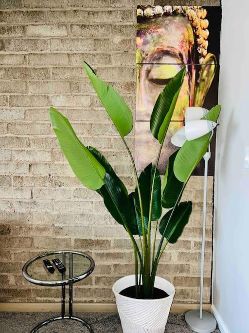 HONORAY-Kes - Property Image 13