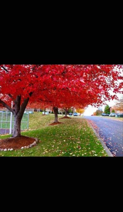 HONORAY-Kes - Property Image 3