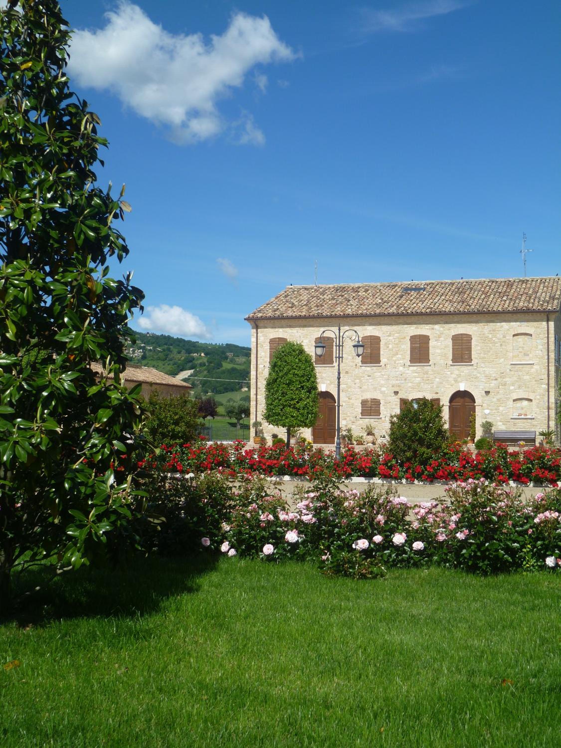 Photo 18