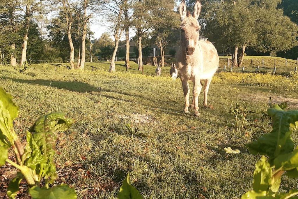La parenthèse Là où le temps s'arrête.